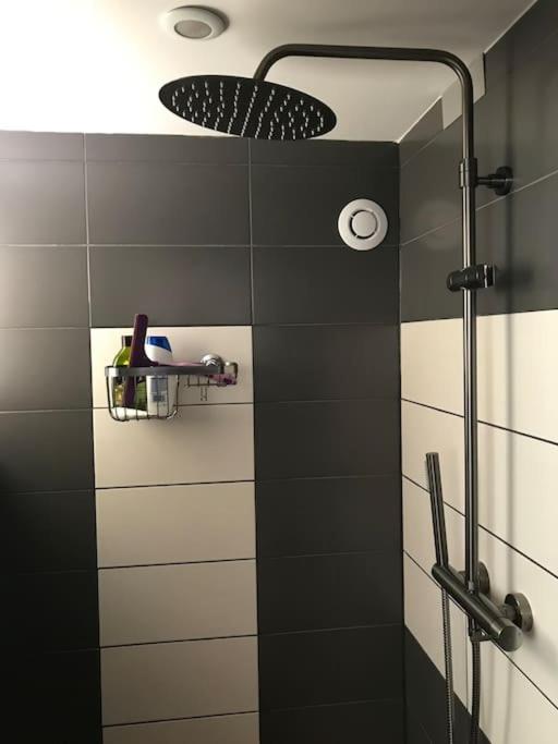1 A 4 Pers, Proche Strasbourg, Europa-park, Colmar Apartment